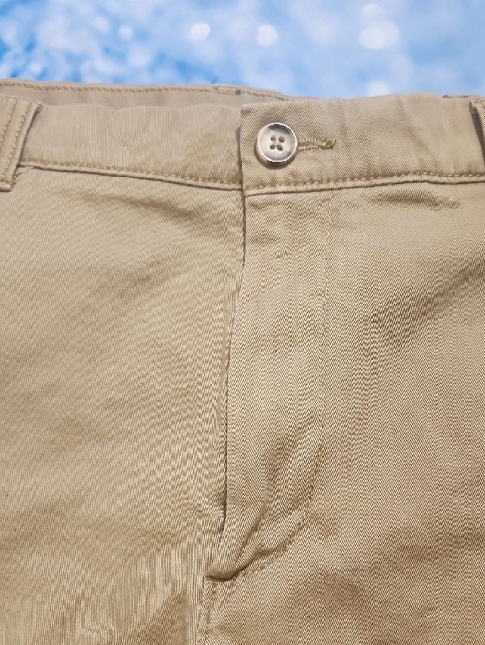 Roundtree & Yorke Tan Flat-Front Men's Shorts - Picture 4 of 8